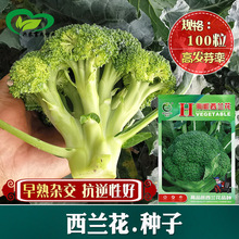 �������m���N�� �r��˵��r���Nֲ�s���������m���G�˻���