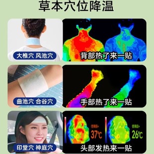 Mugwort Cooling Patch Cooling Handy Gadget Outdoor Summer Anti-Heat Stroke Student Dormitory Cold Cooling Patch Cooling Ice Patch
