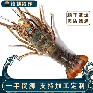 С������������rҰ�����r�ك���ʿ�D���r���r�r��ˮ�a�r�aƷ���l