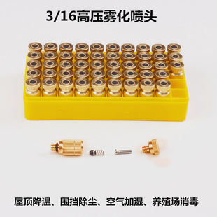 �����C �ӝ������^���� �߉��F�����ط���© �~育��P�Ƭ3/16