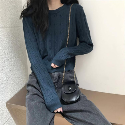 Autumn/Winter White Inner Layer Crew Neck Top 2025 New Korean Style Loose Slimming Broom Flower Long Sleeve Knit Top for Women