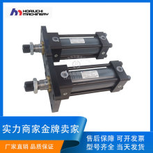 �ձ�ܥ��HORIUCHIҺ���� FS/FF/FSR-SAϵ�����U�͸� ���P䓸Б���