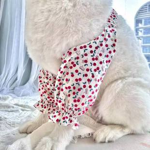 �����oϥ�д���Ȯ��ë�_Ħ�P����ĥ���K���o�׌���ǰ�������o����