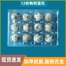 12枚鹌鹑蛋托吸塑PVC塑料盒鹌鹑蛋包装盒pet透明塑料蛋盒工厂直销