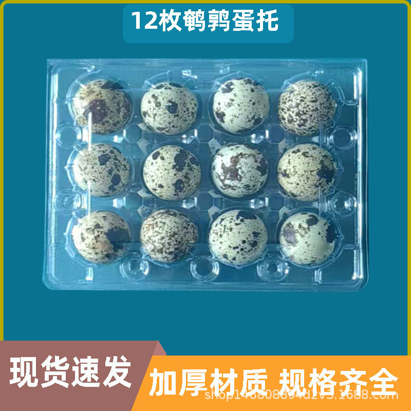 12枚鹌鹑蛋托吸塑PVC塑料盒鹌鹑蛋包装盒pet透明塑料蛋盒工厂直销