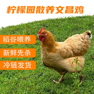 �Ե��ȵ�ɢ�B�ߵ��Ĳ��u ���r�F�� ���|���� �������rȫ���ɰl؛