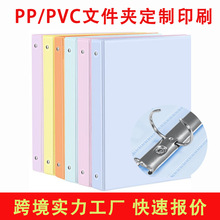 外贸跨境PP塑料文件夹定制logo印刷A4三孔活页pvc办公资料收纳夹
