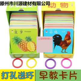 教卡水果卡片婴儿图册图片0-3岁幼儿识字识物早宝宝认识动物早教