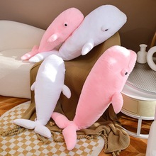 跨境海洋系列公仔大白鲸抱枕儿童陪伴玩偶女生礼物可爱鲸鱼靠垫