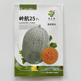 蔬菜种子
