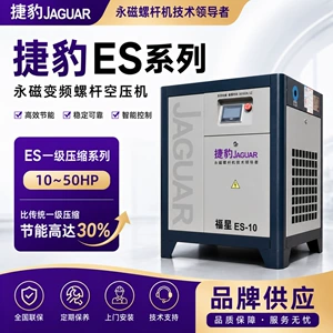 Jaguar Vintli Hava Kompressoru Daimi Maqnitli ES EC XS ED Seriyası