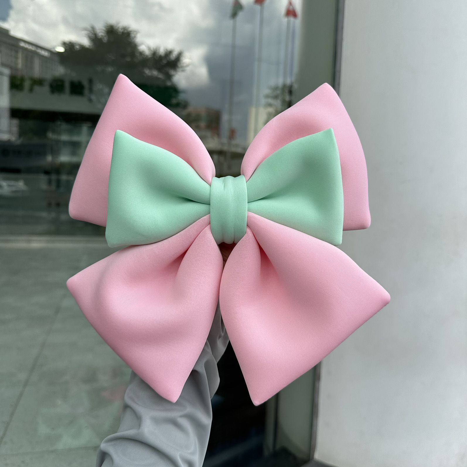 Electric Motorcycle Rear Seat Decoration, Sunny Luna Car Electric Vehicle Ornament, Rear Seat Tail Sticker with Bow