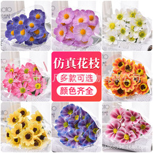 ɣ滨ɫϵĻc·廨ٻYüҾb廨