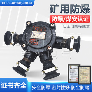 BHD2-40/660(380)-4T Mine Flameproof Low Cable Junction Box Explosion-proof Cast Iron 40A Four-way