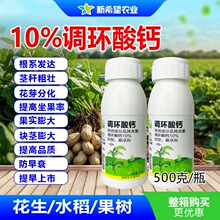 10%�{�h���} ����ˮ���������˥����ٰlѿ����������a�{����