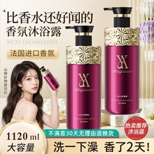 �ž�Ԋ�̽���ԡ¶������������w�������㱣������坍���̝�