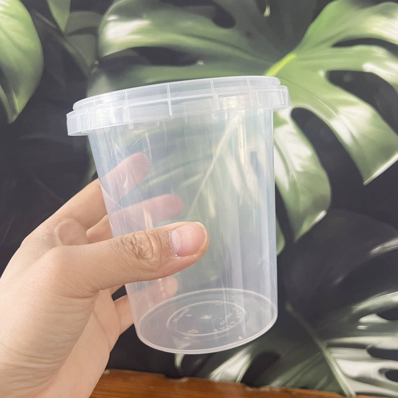 Прозрачный зеленый горшок для контроля корней для орхидей, семейства орхидей, фаленопсисов, дышащий полый утолщенный набор бытовых цветочных горшков.