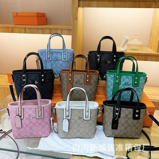 ����Ů��2025�¿�r��ӡ��ˮͰ��ޢ�҆μ���羳���llady��bags