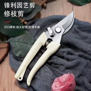 Household Fruit Tree Scissors Pruning Artifact Flower Fruit Picking Scissors Branch Scissors Greening Grafting Gardening Scissors