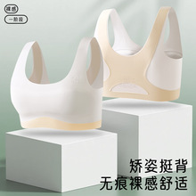 �l���ڃ�ͯ����һ���A�ΌW�����z�̶��މ|Ůͯ6-15�W������