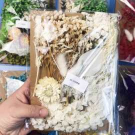 A5压花材料包干花永生花浮游花diy滴胶蜡烛相框团扇玫瑰花创意diy