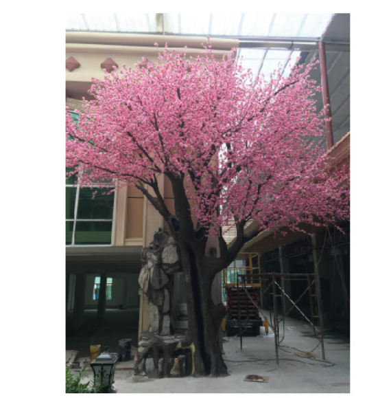 6 metros de altura x 4 metros de ancho Peach Tree