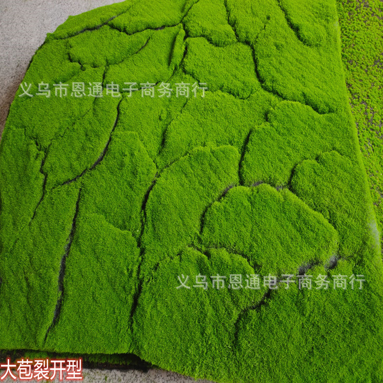251.jpg