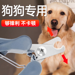 Dog Nail Scissors Special Cat Teddy Golden Retriever Labrador Small Medium Large Dog Pet Nail Clippers