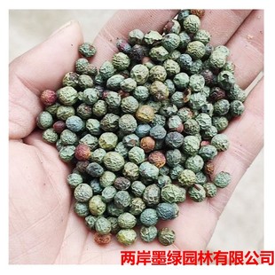 �S�����l�²�ș���S�Bľ�N������ϧľ��ľ�u�ڹ��N�Ӻó�ѿ