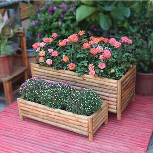 ���⌍ľ�������ľ���������@�Nֲ�����������L���λ���