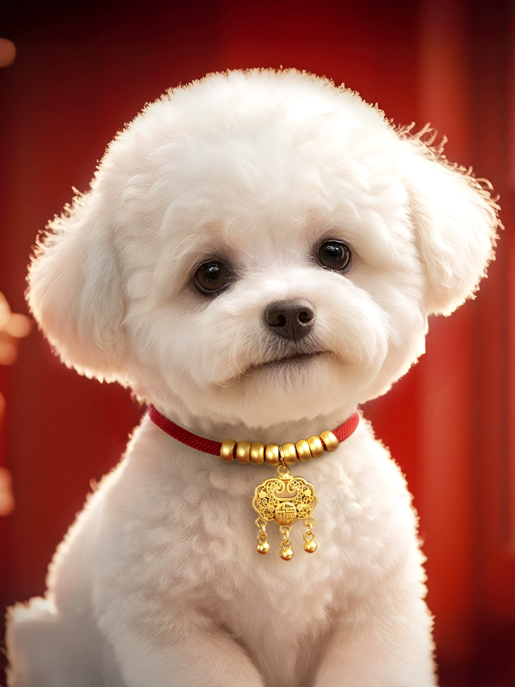 Ошейник для собаки, ошейник для собаки, замок долговечности, ожерелье для щенка, ошейник для маленьких и средних собак, ошейник для кошек, аксессуары для домашних кошек