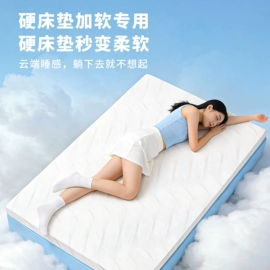 乳胶枕;乳胶床垫;其他枕芯