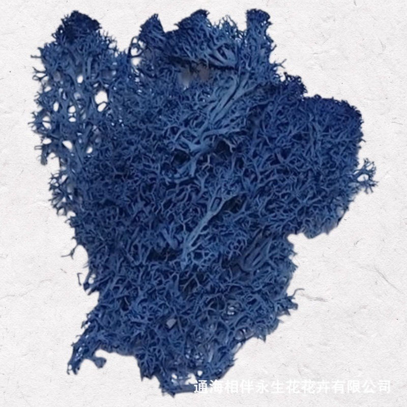 Royal blue · immortal moss