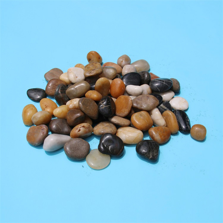 ��ɫ԰��Ӫ���� | �辰����������� | �Ƶ�Ҿ���ֲװ����ʯ