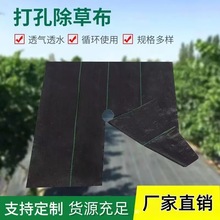 �S��ֱ�N�r�ù��@���ݲ��@ˇ�Nֲ��׷��ݲ��@ˇ�Nֲ����