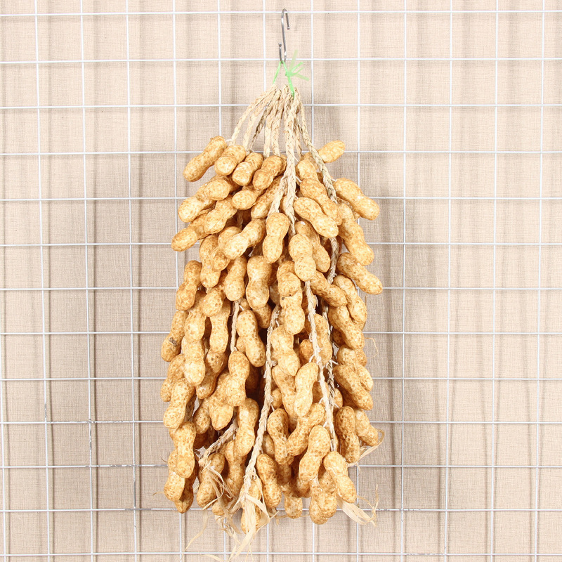 シミュレーション野菜串卸売りシミュレーション落花生掛串12頭/農家楽装飾品/撮影道具果物模型|undefined