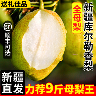 �����½�ֱ�l�젖������������rˮ��ĸ�殔���ЋD������������l