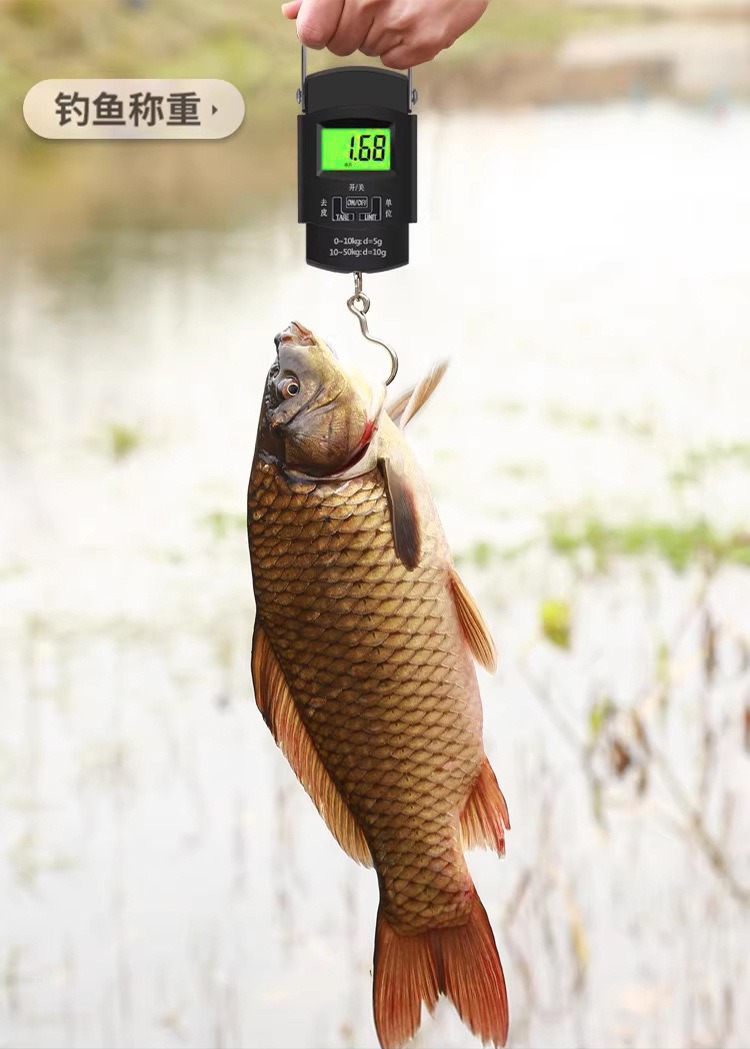 Carefully selected high-precision fishing express scales, compact portable scales, digital scales for vegetable sellers, gram scales, accurate portable digital scales