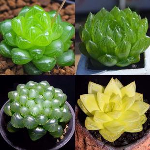  ֲ ʮϵ ¶ ¶ ¶ ˮ¶SֱN