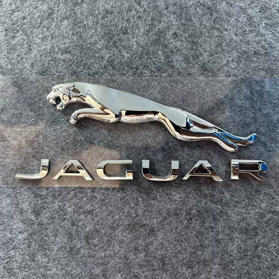 F-PACE V6 3.0 V8 5.0: Car logo - standard-jaguar-tail-badge-16cm-bright-silver