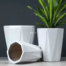 陶瓷花盆特大号带托盘多肉花盆欧式简约白色绿萝家用实用好看