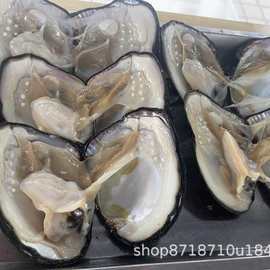 蚌农自产自销淡水9-13mm爱迪生＋3-7mmAK蚌现捞现发源头批发盲盒