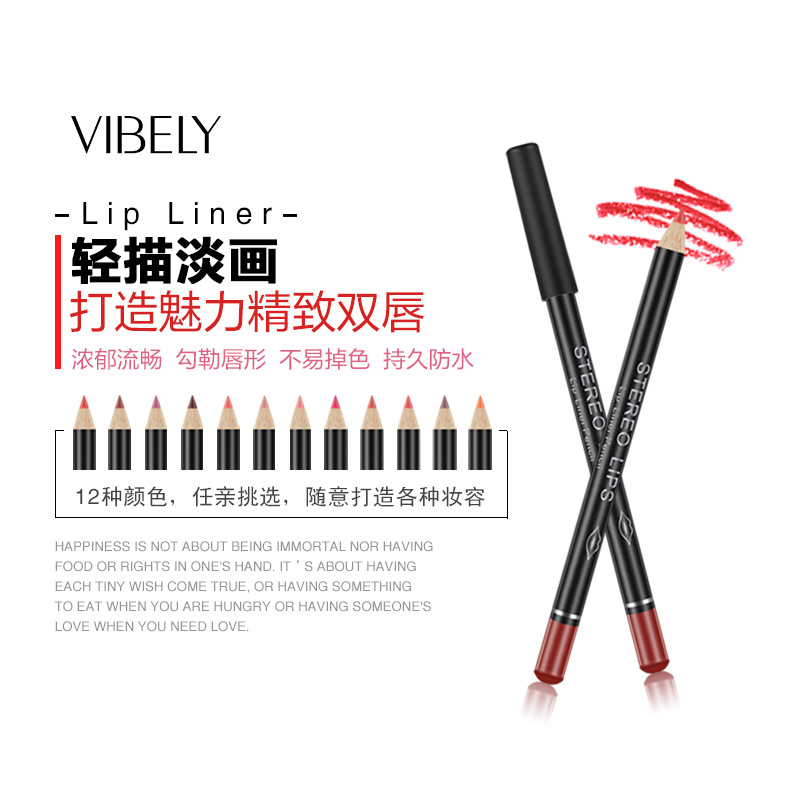 VIBELY European and American foreign trade matte non-stick lip liner lipstick 12 colors brown hook line lip pencil makeup wholesale