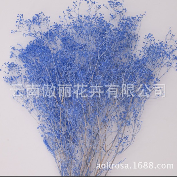 Fabricante pequeño cielo estrellado hierba millones de estrellas regalo del Día de San Valentín cielo estrellado ramo accesorios flor eterna