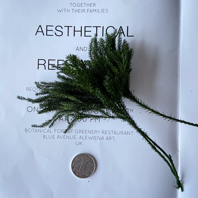 Floral aromatherapy, candle, materials set, photo frame, sample, handmade