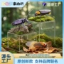 立体儿童亚克力仿真积木
