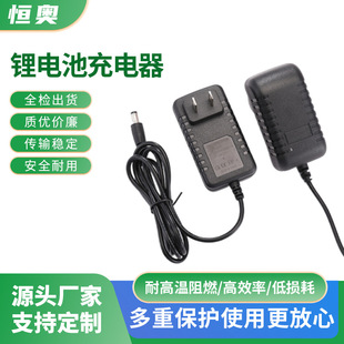 Batch Supply Car Washing Machine Charger 25V12V16V Various Specifications Supply Us Standard European Standard Australian Standard Certification Other
