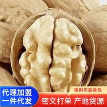 �½�185��Ƥ����25��؛ԭζ�ք���Ƥ500g�S��ɢ�b���lһ�����l