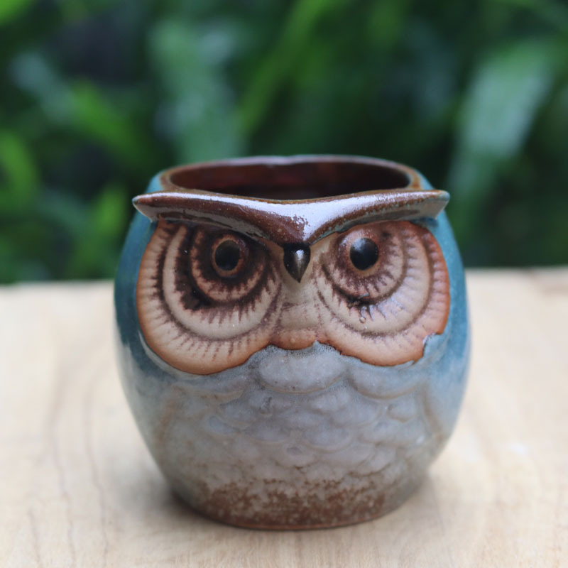 Cross-border Owl Succulent Plant Small Flower Pot Cartoon Flower Pot Thumb Hand-painted Flower Pot Indoor Home Decoration Flower Pot