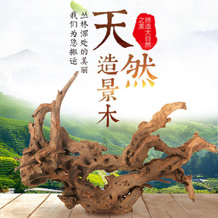 �~���쾰��ľˮ����Ȼ�b�����͘�С�Ͷ��N������ľɭ�֘䘶